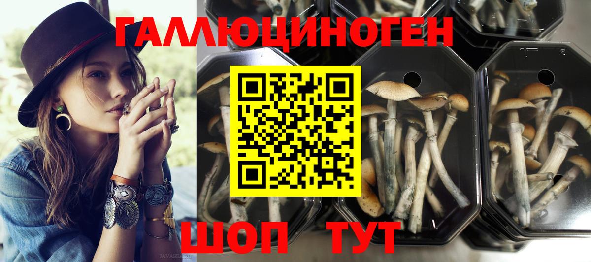 Галлюциногенные грибы GOLDEN TEACHER Санкт-Петербург